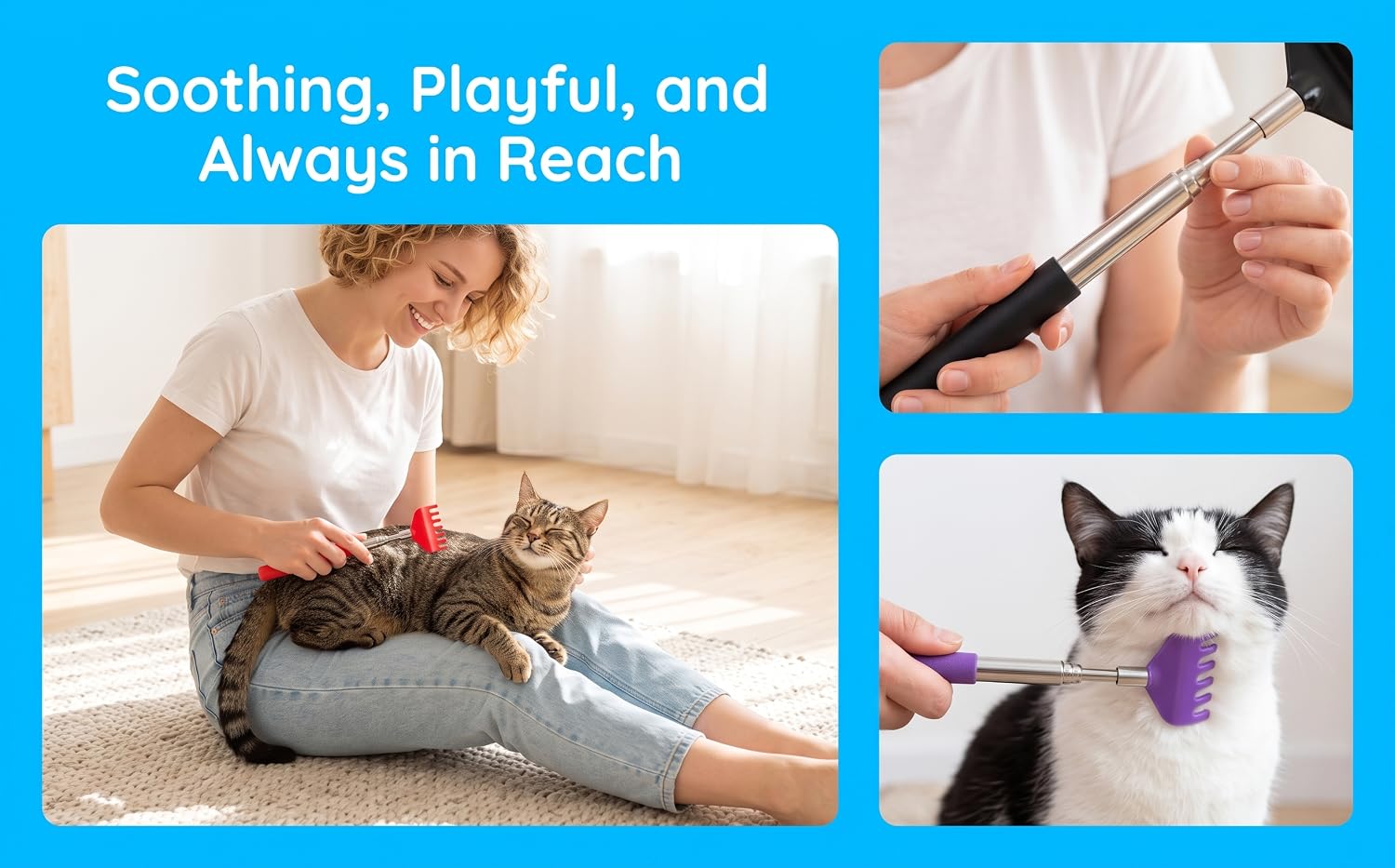 Soothing, Playful, and Always in Reach 