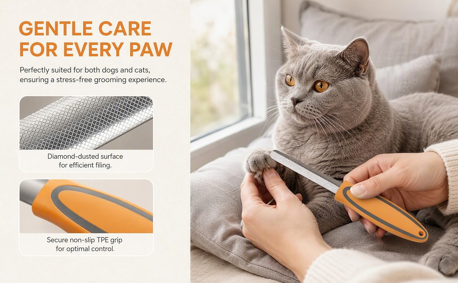 Gentle Care for Every Paw 